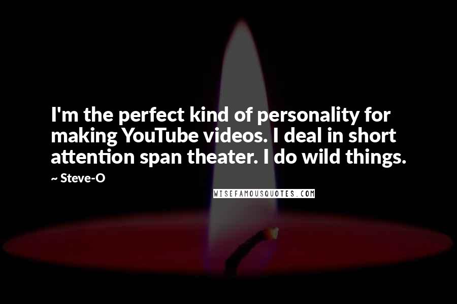 Steve-O Quotes: I'm the perfect kind of personality for making YouTube videos. I deal in short attention span theater. I do wild things.