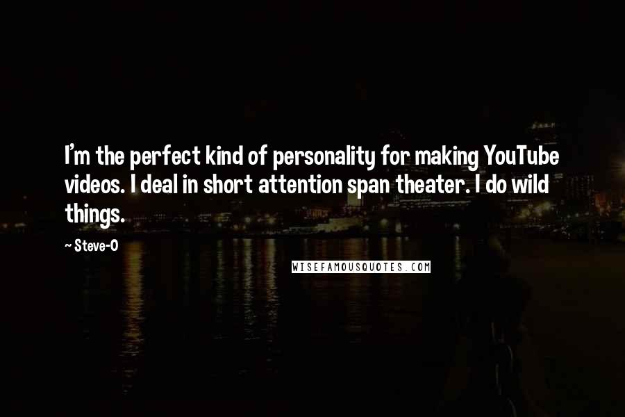Steve-O Quotes: I'm the perfect kind of personality for making YouTube videos. I deal in short attention span theater. I do wild things.