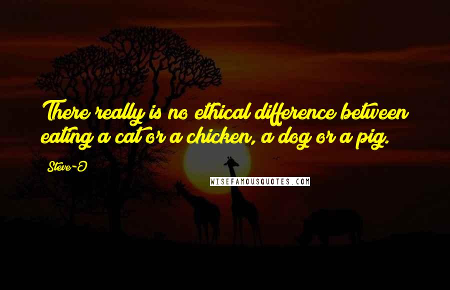 Steve-O Quotes: There really is no ethical difference between eating a cat or a chicken, a dog or a pig.