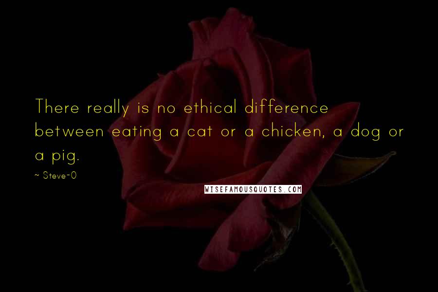 Steve-O Quotes: There really is no ethical difference between eating a cat or a chicken, a dog or a pig.