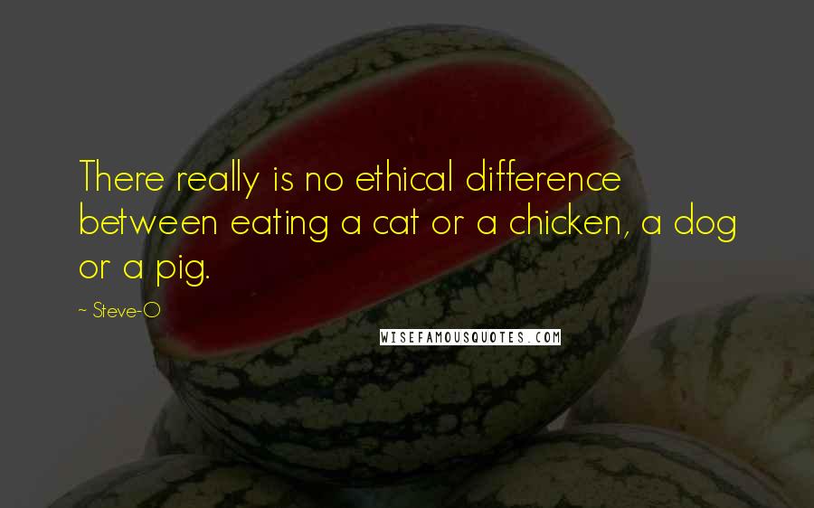 Steve-O Quotes: There really is no ethical difference between eating a cat or a chicken, a dog or a pig.