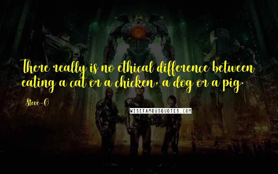 Steve-O Quotes: There really is no ethical difference between eating a cat or a chicken, a dog or a pig.
