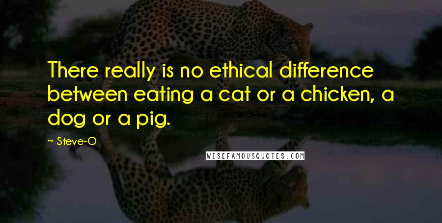 Steve-O Quotes: There really is no ethical difference between eating a cat or a chicken, a dog or a pig.