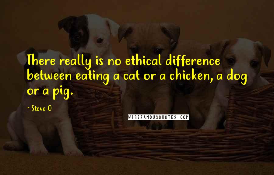 Steve-O Quotes: There really is no ethical difference between eating a cat or a chicken, a dog or a pig.