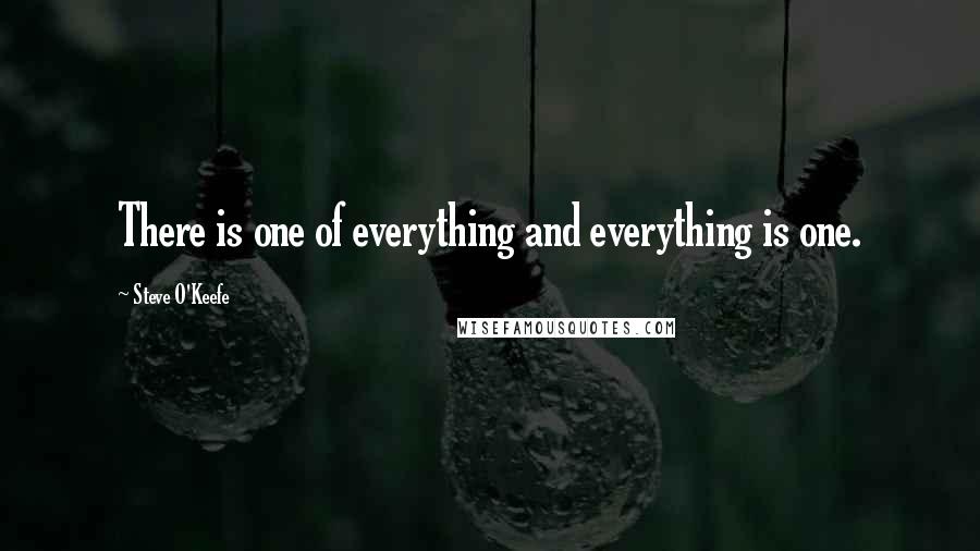 Steve O'Keefe Quotes: There is one of everything and everything is one.