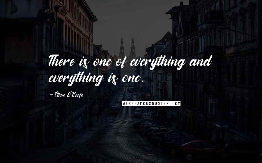 Steve O'Keefe Quotes: There is one of everything and everything is one.