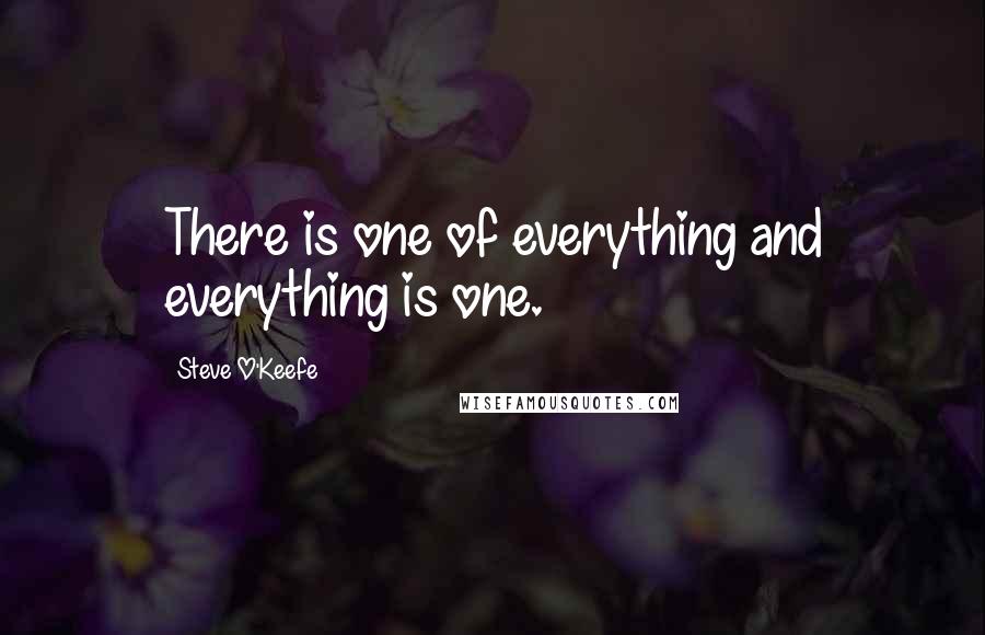 Steve O'Keefe Quotes: There is one of everything and everything is one.