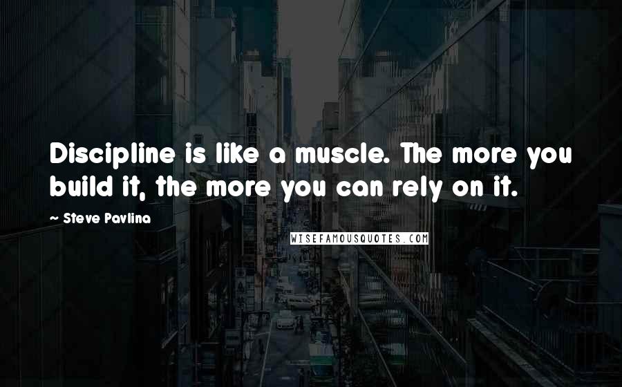 Steve Pavlina Quotes: Discipline is like a muscle. The more you build it, the more you can rely on it.