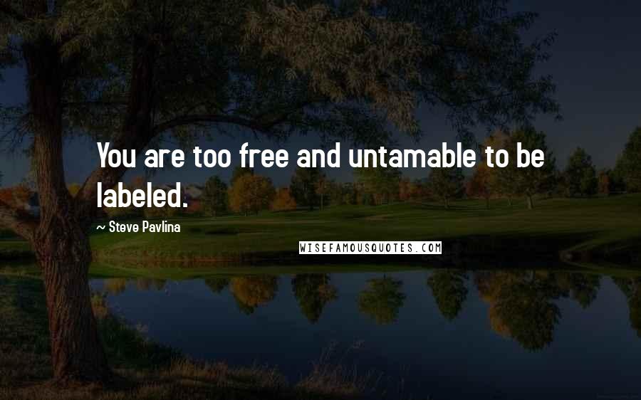 Steve Pavlina Quotes: You are too free and untamable to be labeled.