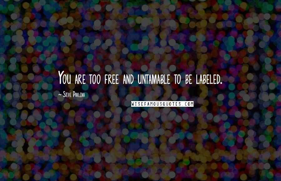 Steve Pavlina Quotes: You are too free and untamable to be labeled.