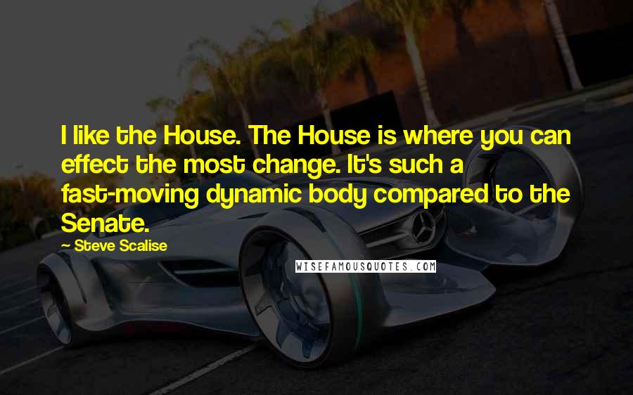 Steve Scalise Quotes: I like the House. The House is where you can effect the most change. It's such a fast-moving dynamic body compared to the Senate.