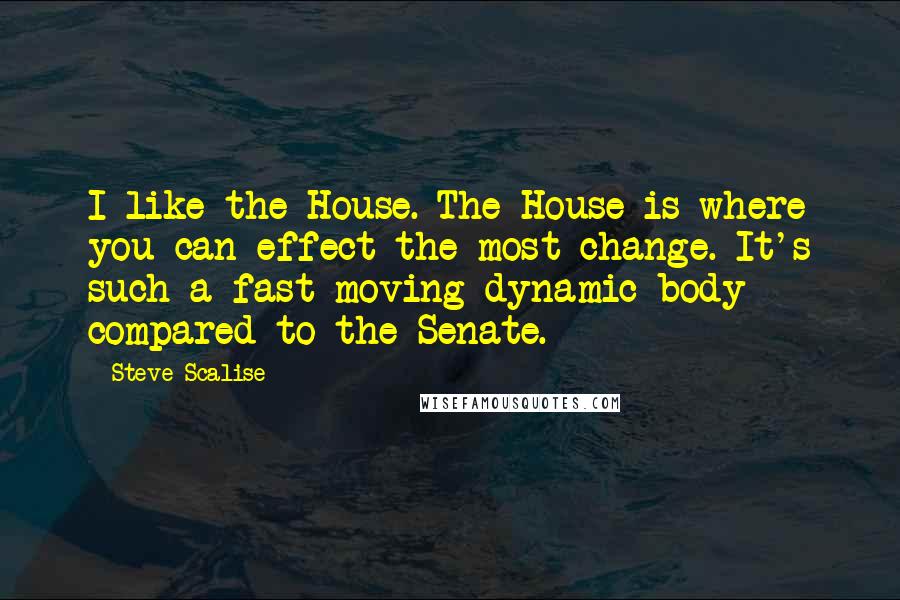 Steve Scalise Quotes: I like the House. The House is where you can effect the most change. It's such a fast-moving dynamic body compared to the Senate.