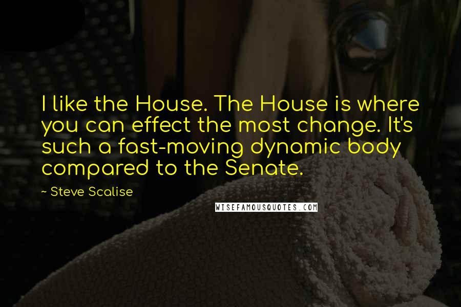 Steve Scalise Quotes: I like the House. The House is where you can effect the most change. It's such a fast-moving dynamic body compared to the Senate.