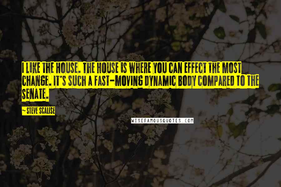 Steve Scalise Quotes: I like the House. The House is where you can effect the most change. It's such a fast-moving dynamic body compared to the Senate.