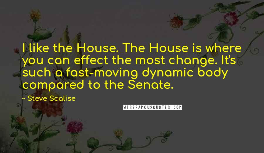 Steve Scalise Quotes: I like the House. The House is where you can effect the most change. It's such a fast-moving dynamic body compared to the Senate.
