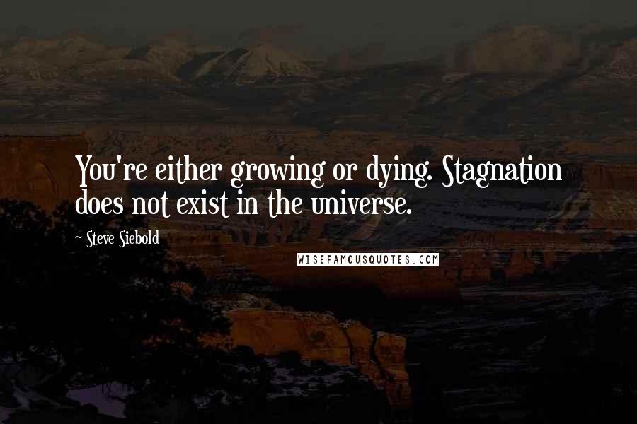 Steve Siebold Quotes: You're either growing or dying. Stagnation does not exist in the universe.