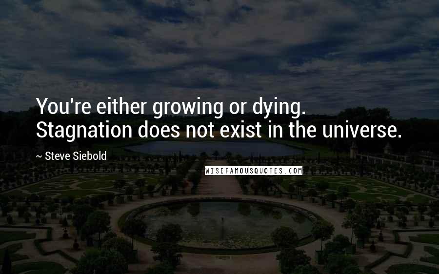Steve Siebold Quotes: You're either growing or dying. Stagnation does not exist in the universe.