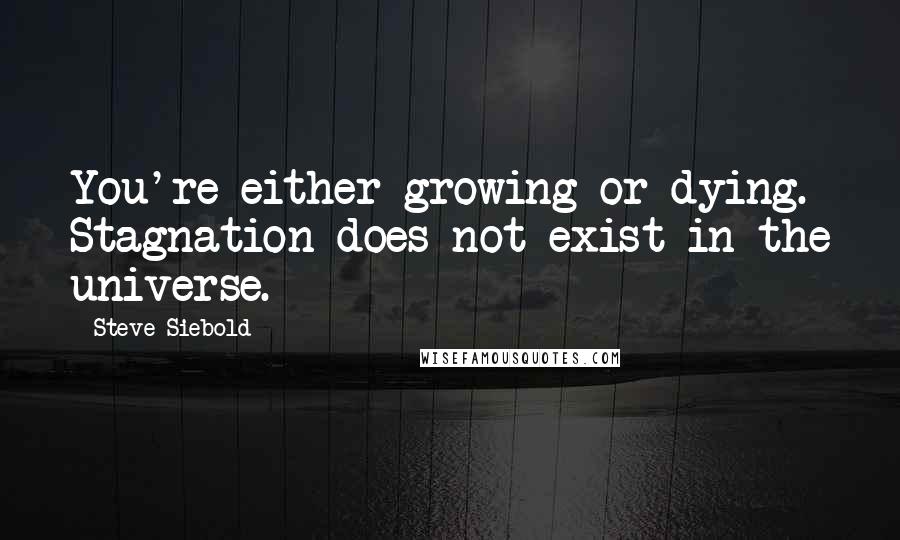 Steve Siebold Quotes: You're either growing or dying. Stagnation does not exist in the universe.