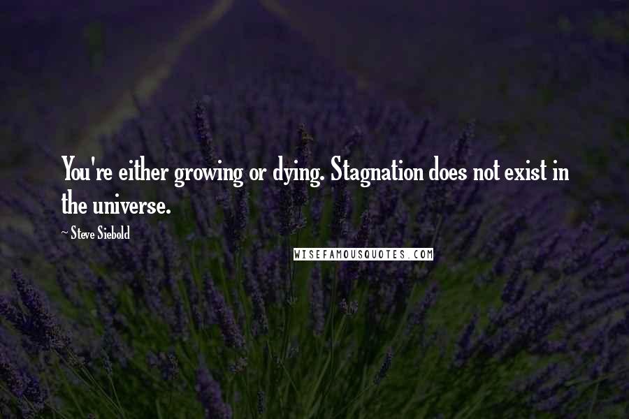 Steve Siebold Quotes: You're either growing or dying. Stagnation does not exist in the universe.