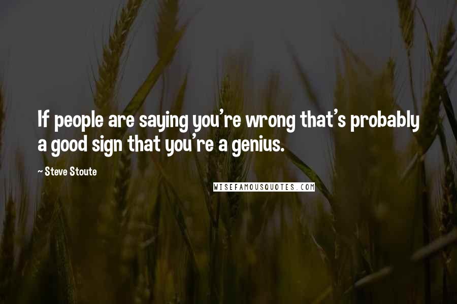 Steve Stoute Quotes: If people are saying you're wrong that's probably a good sign that you're a genius.