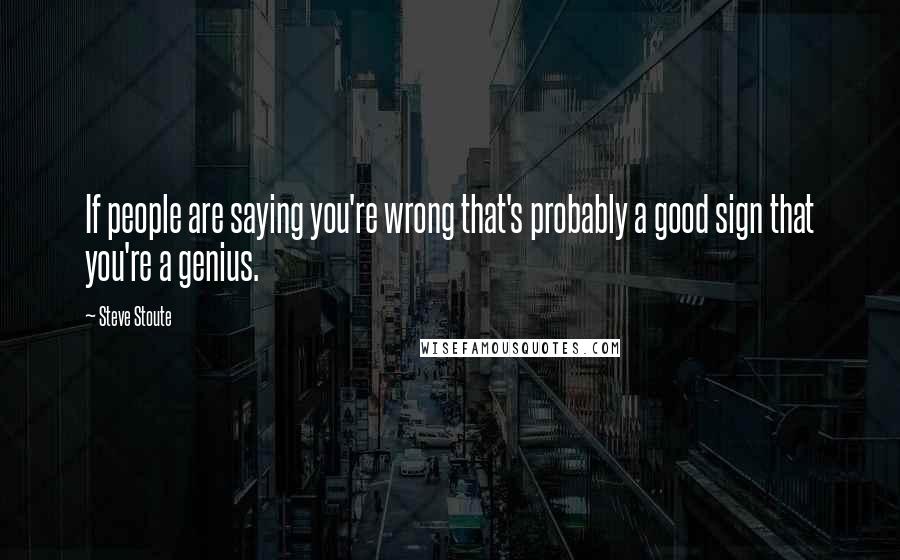 Steve Stoute Quotes: If people are saying you're wrong that's probably a good sign that you're a genius.