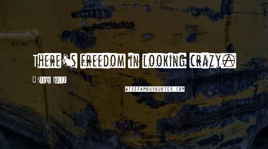 Steve Toltz Quotes: There's freedom in looking crazy.