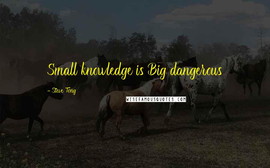 Steve Tong Quotes: Small knowledge is Big dangerous