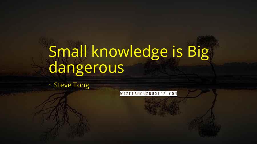 Steve Tong Quotes: Small knowledge is Big dangerous