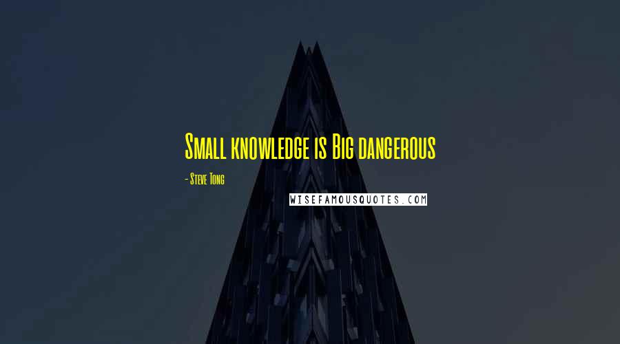 Steve Tong Quotes: Small knowledge is Big dangerous