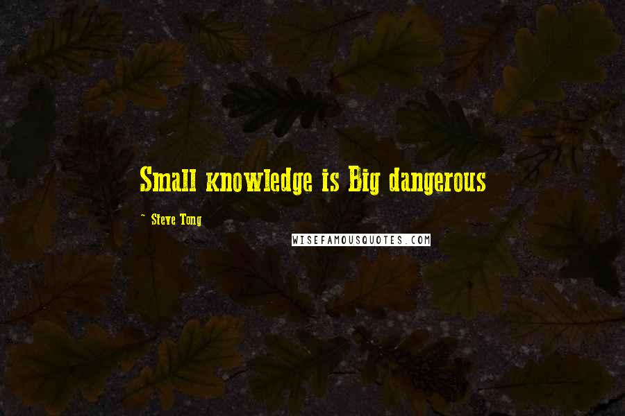 Steve Tong Quotes: Small knowledge is Big dangerous