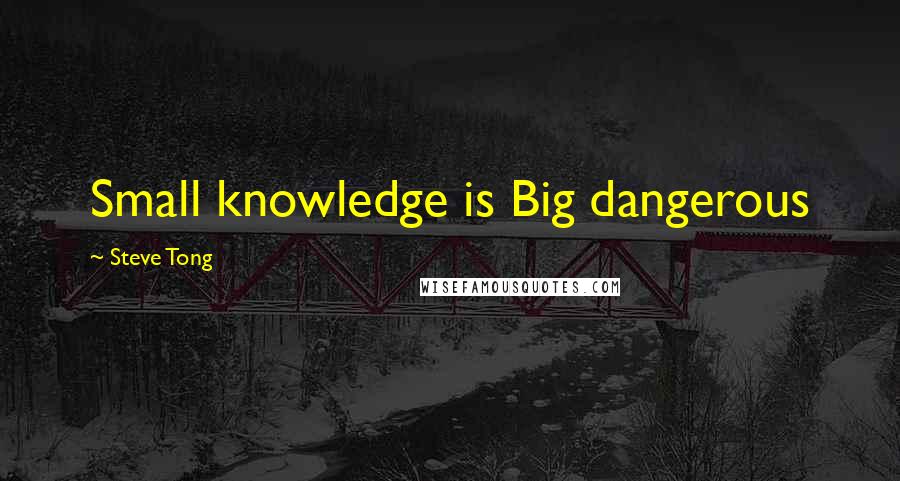 Steve Tong Quotes: Small knowledge is Big dangerous