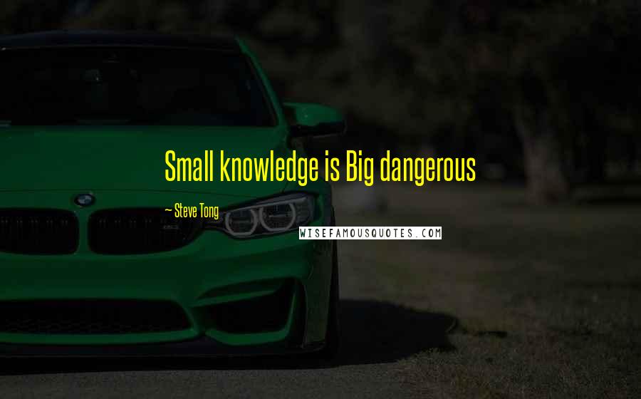 Steve Tong Quotes: Small knowledge is Big dangerous