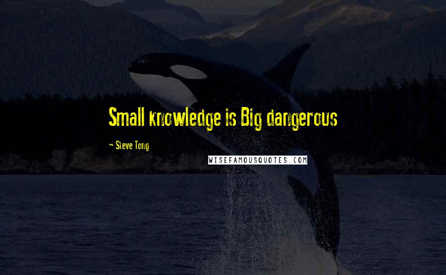 Steve Tong Quotes: Small knowledge is Big dangerous