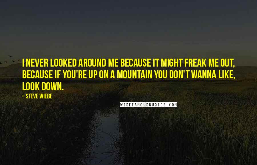 Steve Wiebe Quotes: I never looked around me because it might freak me out, because if you're up on a mountain you don't wanna like, look down.