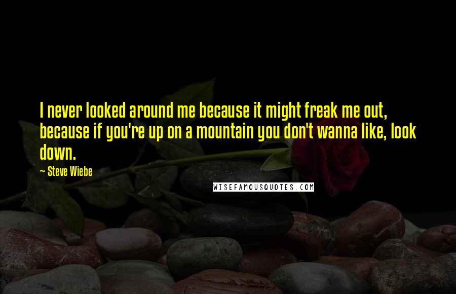 Steve Wiebe Quotes: I never looked around me because it might freak me out, because if you're up on a mountain you don't wanna like, look down.