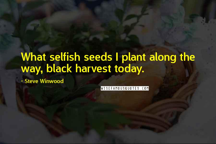 Steve Winwood Quotes: What selfish seeds I plant along the way, black harvest today.