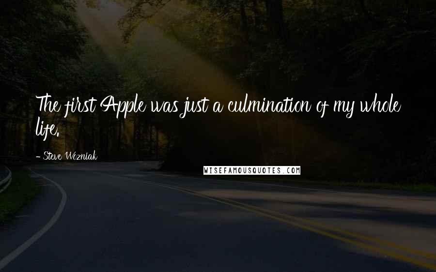 Steve Wozniak Quotes: The first Apple was just a culmination of my whole life.