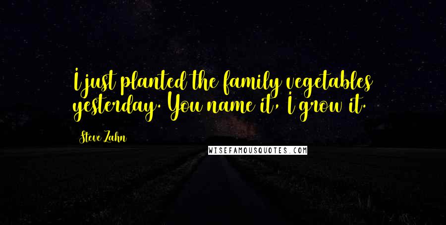 Steve Zahn Quotes: I just planted the family vegetables yesterday. You name it, I grow it.