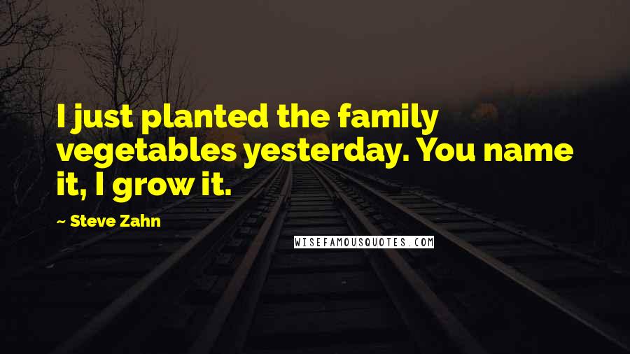 Steve Zahn Quotes: I just planted the family vegetables yesterday. You name it, I grow it.