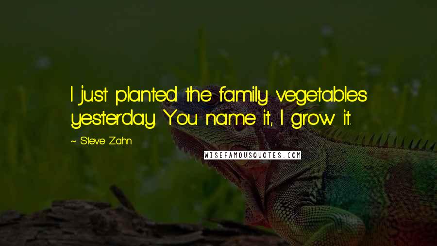 Steve Zahn Quotes: I just planted the family vegetables yesterday. You name it, I grow it.