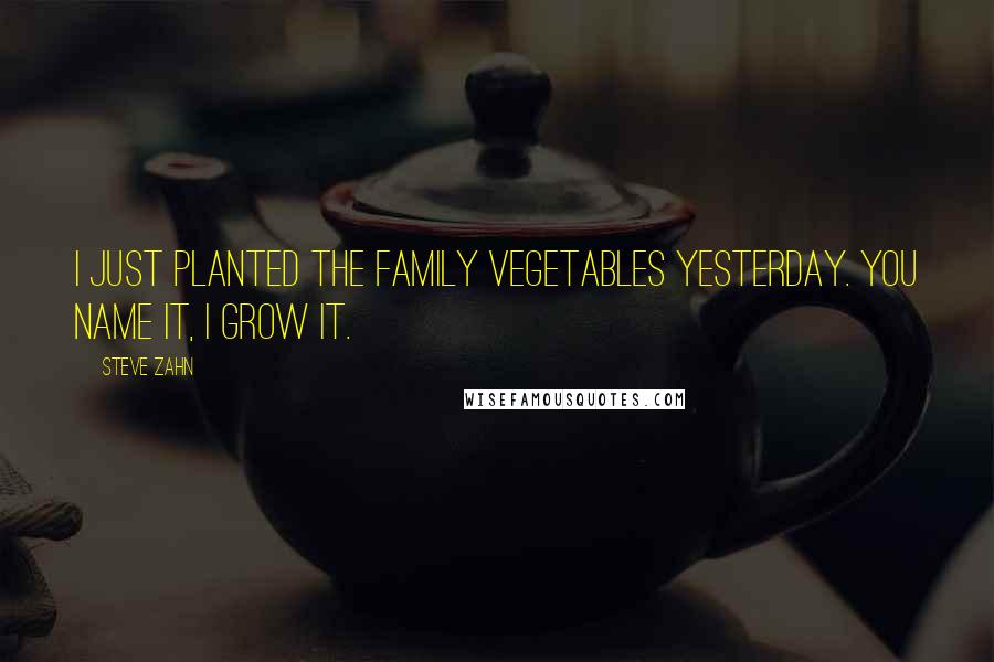 Steve Zahn Quotes: I just planted the family vegetables yesterday. You name it, I grow it.