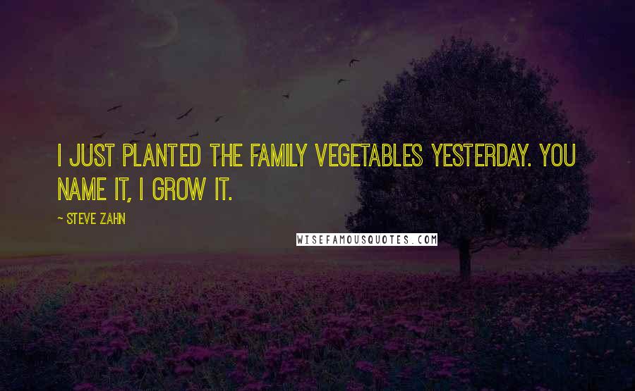 Steve Zahn Quotes: I just planted the family vegetables yesterday. You name it, I grow it.