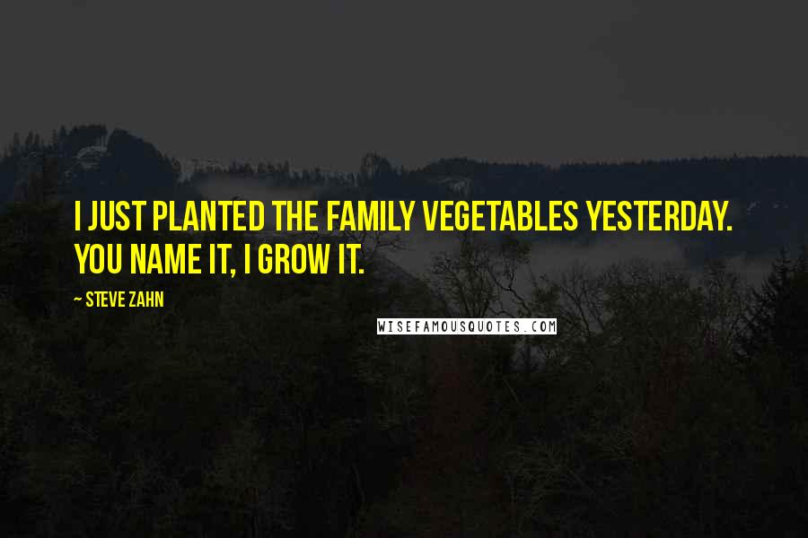 Steve Zahn Quotes: I just planted the family vegetables yesterday. You name it, I grow it.