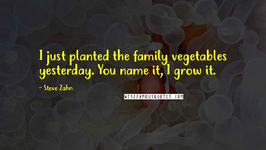Steve Zahn Quotes: I just planted the family vegetables yesterday. You name it, I grow it.