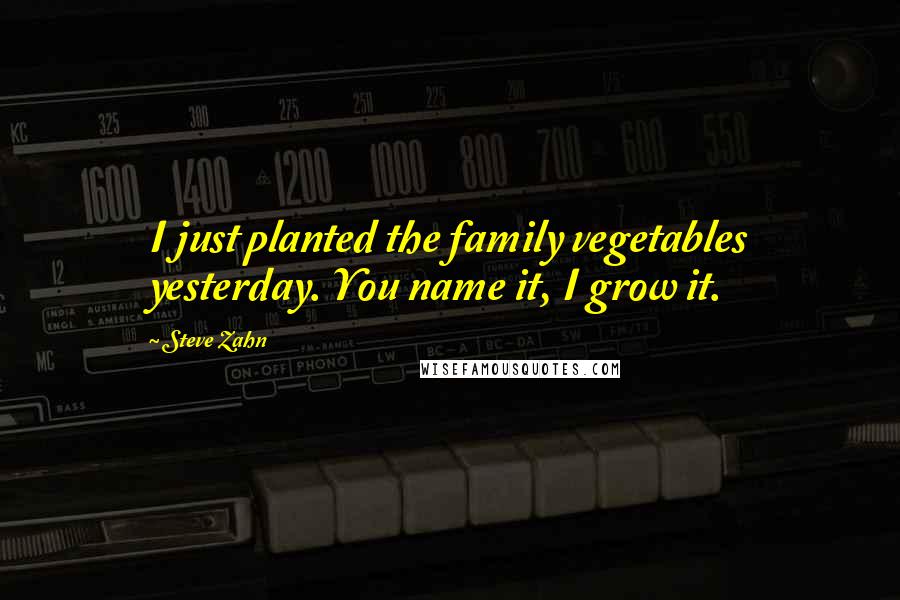 Steve Zahn Quotes: I just planted the family vegetables yesterday. You name it, I grow it.