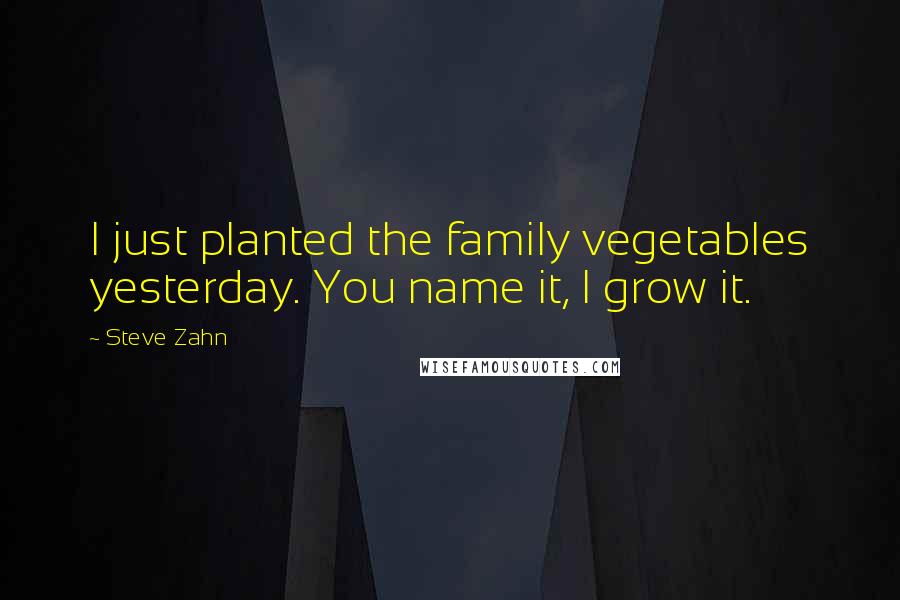 Steve Zahn Quotes: I just planted the family vegetables yesterday. You name it, I grow it.