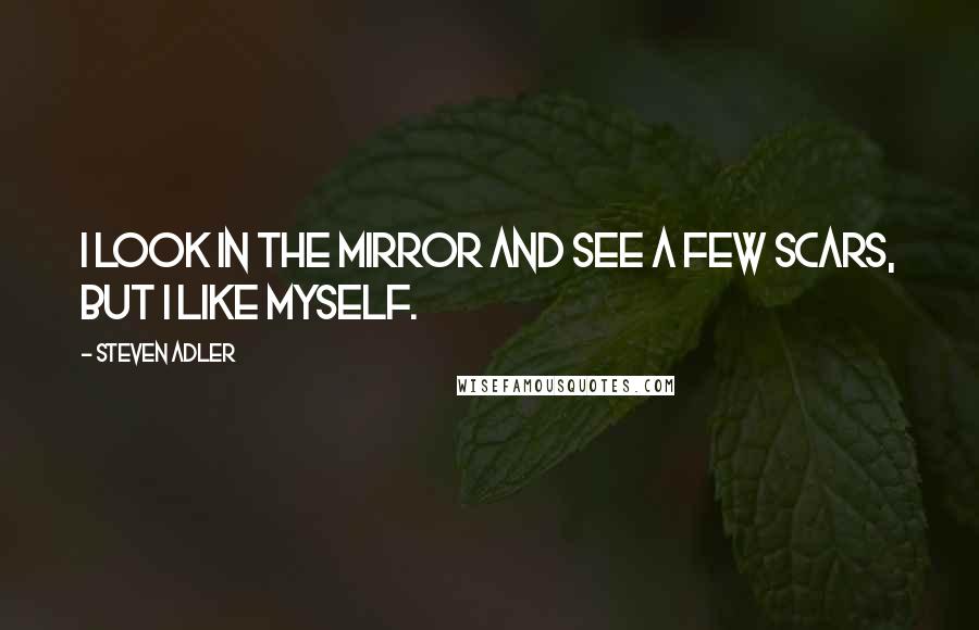 Steven Adler Quotes: I look in the mirror and see a few scars, but I like myself.