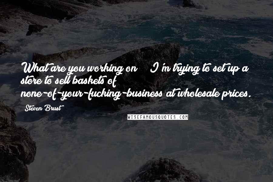 Steven Brust Quotes: What are you working on?" "I'm trying to set up a store to sell baskets of none-of-your-fucking-business at wholesale prices.