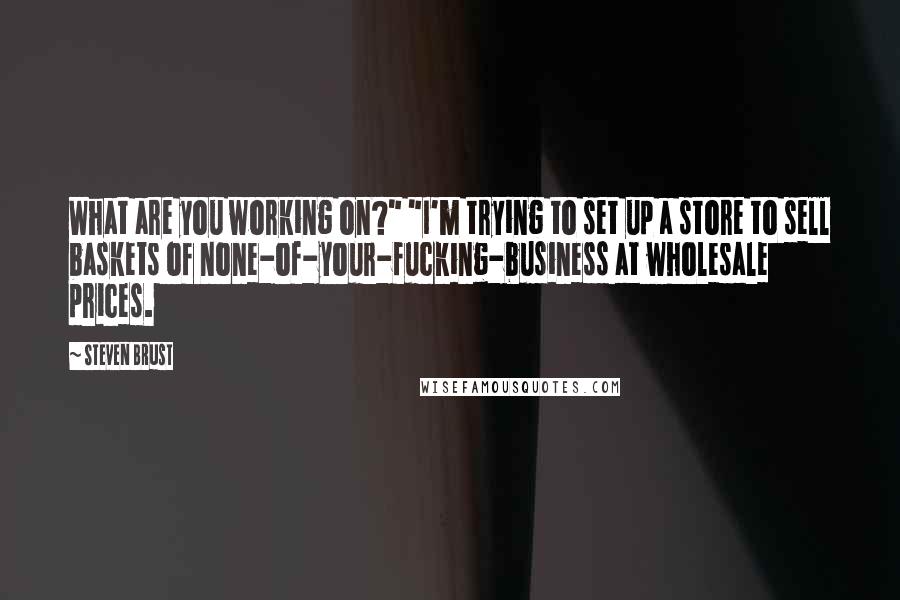Steven Brust Quotes: What are you working on?" "I'm trying to set up a store to sell baskets of none-of-your-fucking-business at wholesale prices.