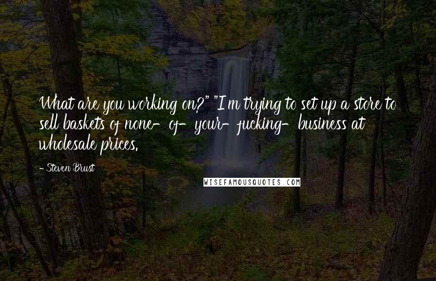 Steven Brust Quotes: What are you working on?" "I'm trying to set up a store to sell baskets of none-of-your-fucking-business at wholesale prices.